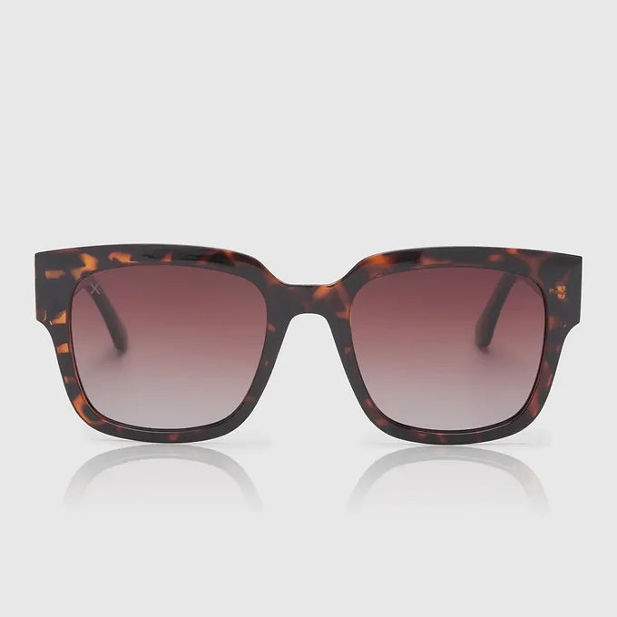 Brea Square Sunglasses